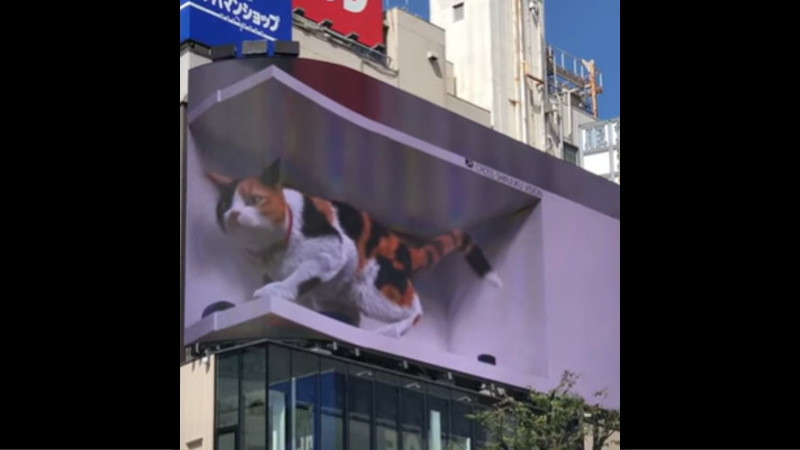 220710 002 - 新宿にある巨大な3Dの看板(クロス新宿ビジョン)の巨大ネコが迫力ありすぎるｗｗｗｗｗ