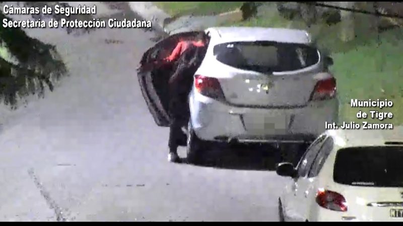 駐車車両から泥棒をする男性を警官が逮捕しました。