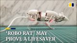 maxresdefault 94 160x90 - 災害救助の為に中国で開発されているネズミ型ロボットが高性能すぎる。