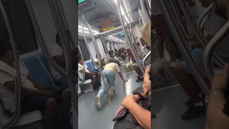 〖恐怖〗地下鉄で他の人が連れてきた犬と大きな声で会話する迷惑な男性。