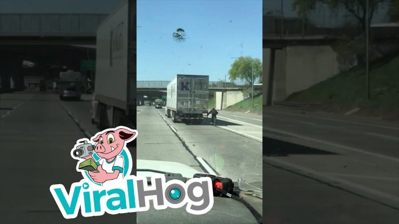 カリフォルニアの高速道路で撮影されたトラックに捕まって走る自転車です！