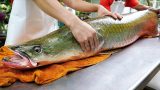 230105 018 160x90 - タイの川のアマゾン魚と呼ばれる怪魚を「セビーチェ」という料理にしてみた。