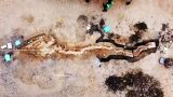 230116 001 160x90 - 【ロマン】イギリスで発見された超巨大なアレの化石がワクワクするｗｗｗ
