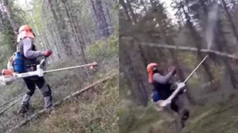 【動画】 エンジン芝刈り機の達人、倒れてきた木を空中で切断して難を逃れる。