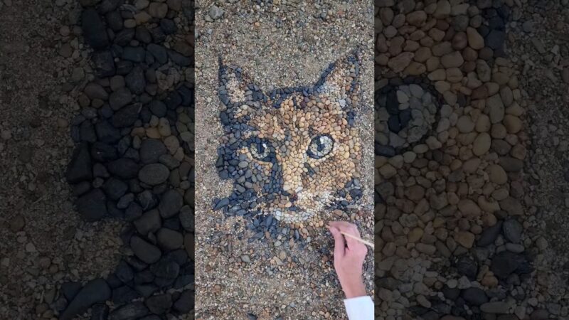 石で猫を書いていく妙技をご覧下さい。