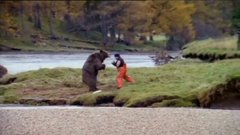 川で水を飲んでいるクマに立ち向かっていく勇敢(?)な男性です。