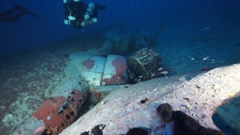 第二次世界大戦の飛行士の遺体がマルタ沖で発見される！