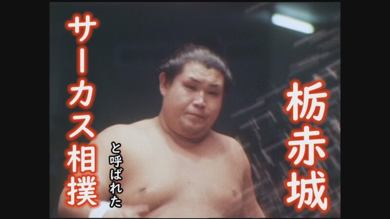 日本相撲協会 公式YouTubeからサーカス相撲と呼ばれた「栃赤城」をご覧下さい。