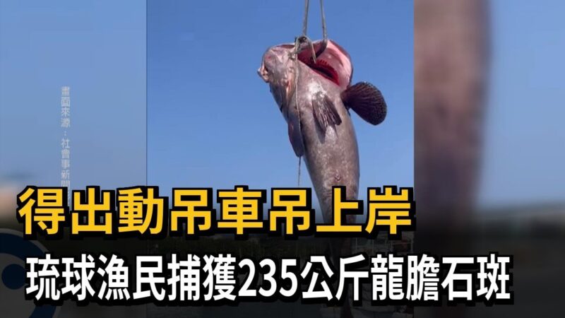 中国で有り得ないサイズの魚が釣り上げられた。