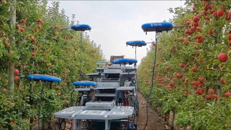 イスラエルの近未来型農業がヤバすぎる！！