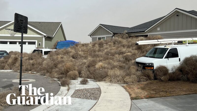 アメリカで強風によりタンブルウィードが家を囲んでいく。