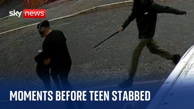 2人の少年が16歳の少年を刺殺する直前の様子が撮影された。