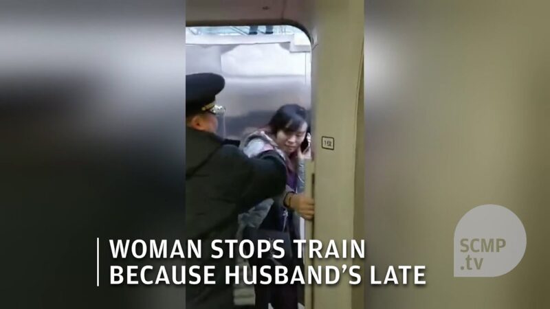 自分勝手すぎる理由で電車を止めている女性が撮影された。