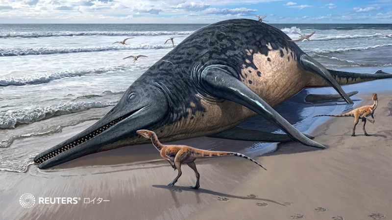 イギリスで約2億200万年前に生息した地球上最大級の魚竜の新種の化石を発見！！