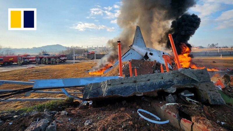 韓国で起きた飛行機墜落の瞬間がヤバすぎる！！