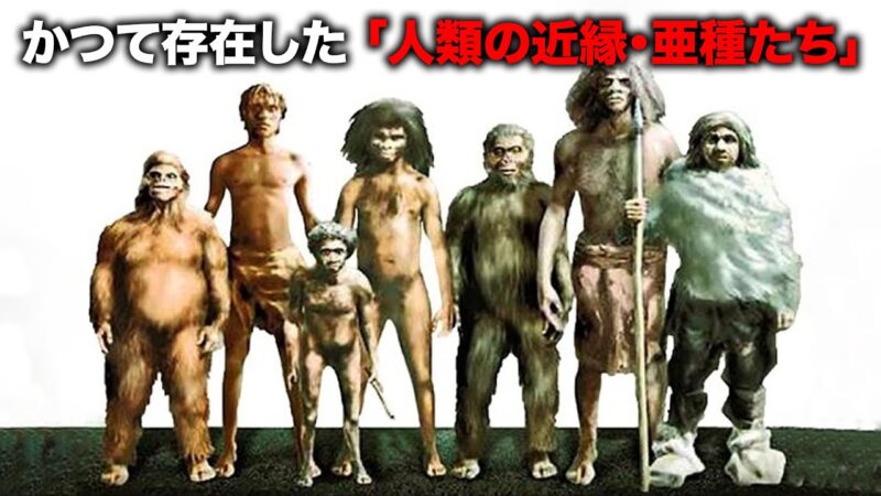 ホモ・サピエンスとの生存競争に敗れて絶滅した8種の古代人類が居たようだ