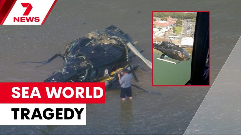 ゴールドコーストで発生したヘリ衝突事故の決定的危険瞬間が公開された映像。