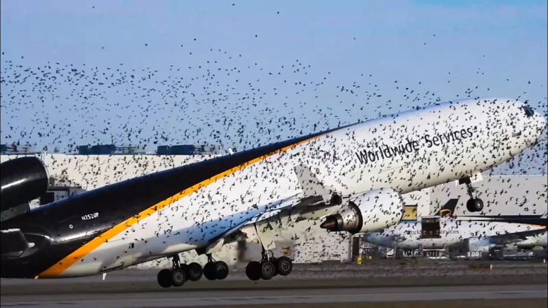 UPS MD-11が離陸直後にバードストライクで緊急帰投した危険瞬間映像！！