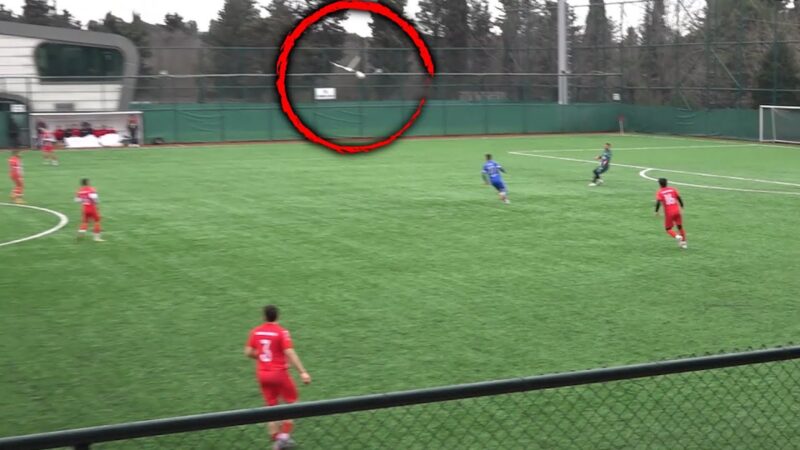 サッカーの試合中にボールが直撃して意識を失うカモメをご覧下さい！