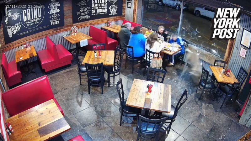 シカが飲食店の窓ガラスを突き破って入って来た最悪の瞬間です！！